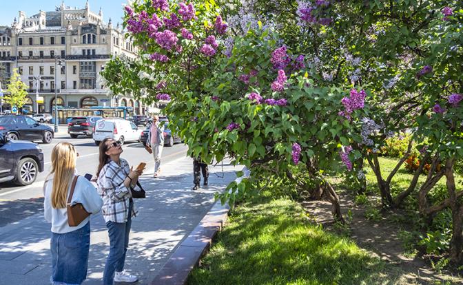 «Будет что-то странное»: прогноз погоды на весну. Синоптики ожидают сплошные отклонения от нормы