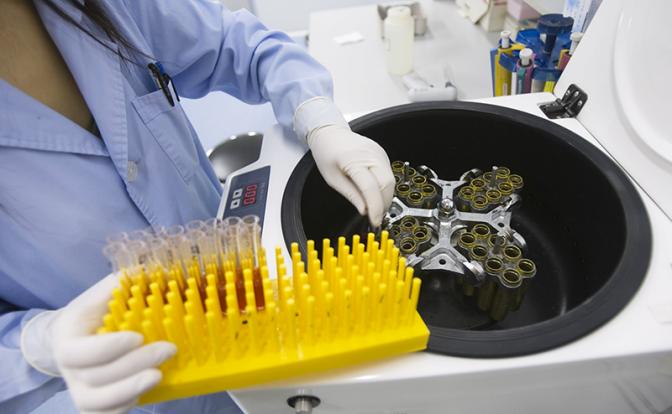 Ученый объяснила, почему так ценны стволовые клетки младенца