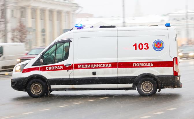 Трагедия в Москве: Бультерьер загрыз хозяина, детей не тронул