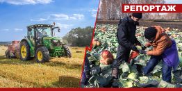 Владимир Кашин: Не Запад, а российские крестьяне обеспечат качественной продукцией нашу страну