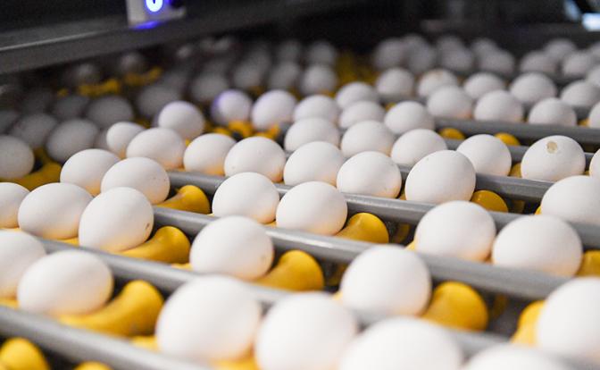 Эксперт об инфляции: цены на курицу и яйца снизились на 2-3%, а в прошлом году выросли почти на 50-60%