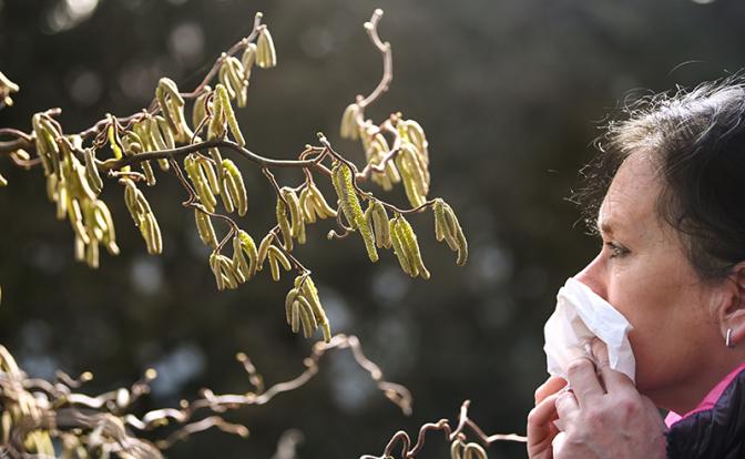 Врач рассказала, как снизить риски возникновения аллергии весной