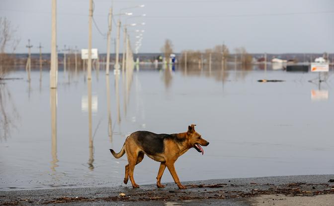 Вильфанд: Таянье снегов приведет к новой волне половодья в России