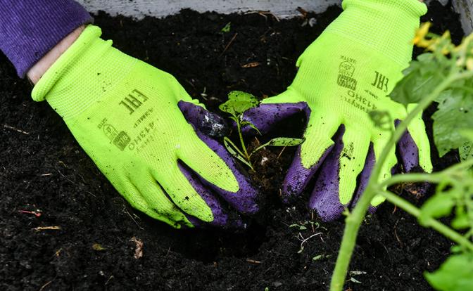Перед сезоном огородных посадок россиянам посоветовали, как повысить плодородность почвы