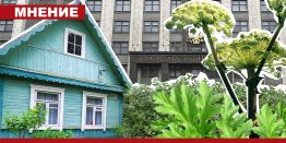 Кому мешают российские дачники?
