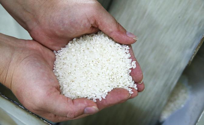 Признаки контрафакта при исследовании риса обнаружены в России