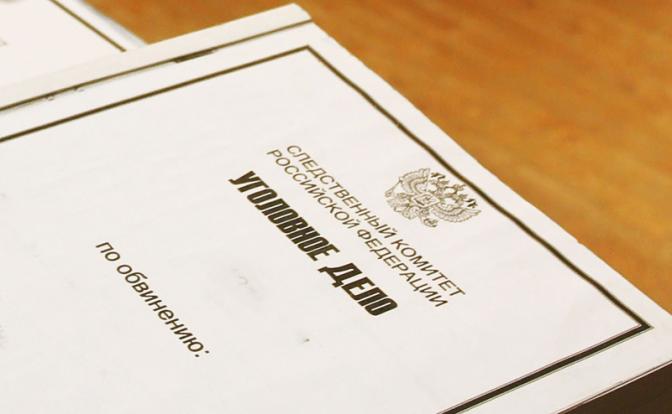 Против историка Тамары Эйдельман возбудили уголовное дело за реабилитацию нацизма