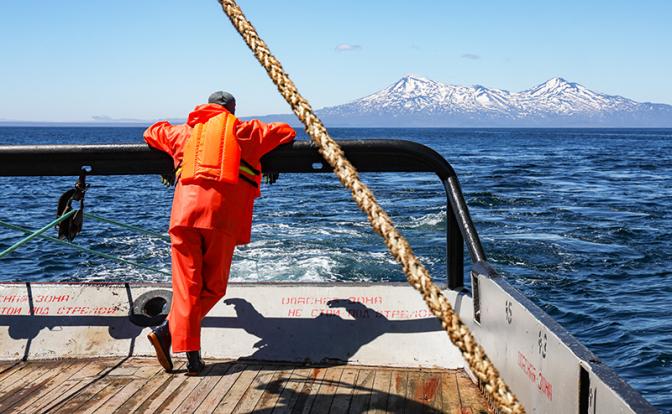 Аналитики назвали самых дорогих специалистов, которых ищут работодатели