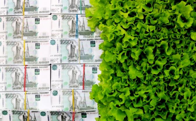 Задержан пермяк, завернувший полумиллионную взятку в пучок листового салата