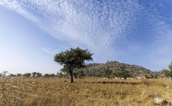 Ученые рассказали, где будет невозможно жить из-за жары