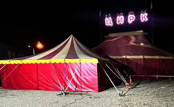 «Нарушены все мыслимые нормы»: депутат о нападении пантеры на ребенка в цирке «Дикий драйв»