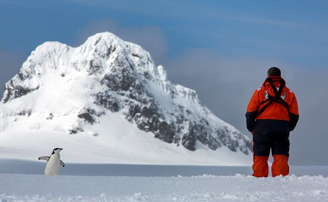 Ученые забили тревогу из-за жуткой находки в Антарктиде