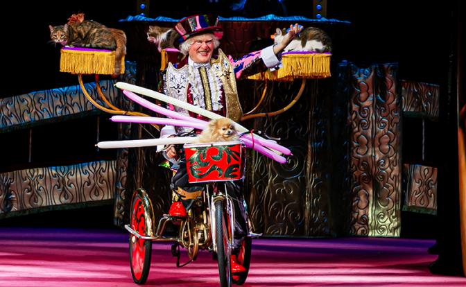 «Самый добрый клоун»: Бенефис Юрия Куклачева состоится в разных городах России