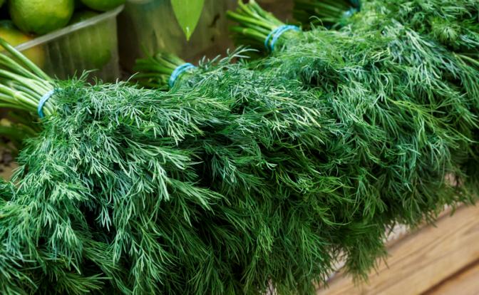 Врач посоветовала сыпать укроп во все блюда