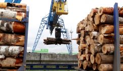 Обитатели завтрашних финских степей мечтают о прилете русской фанеры