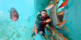 "После удара о риф на борту батискафа началась паника, вода хлынула в салон": В Красном море затонул батискаф с россиянами на борту