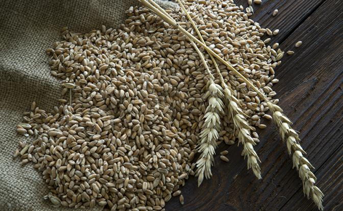 De Morgen: Украина не готова соблюдать «зерновую сделку»