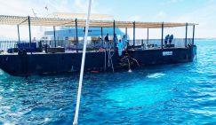 Последнее путешествие «Синдбада»: опаснее погружений только автобусные экскурсии