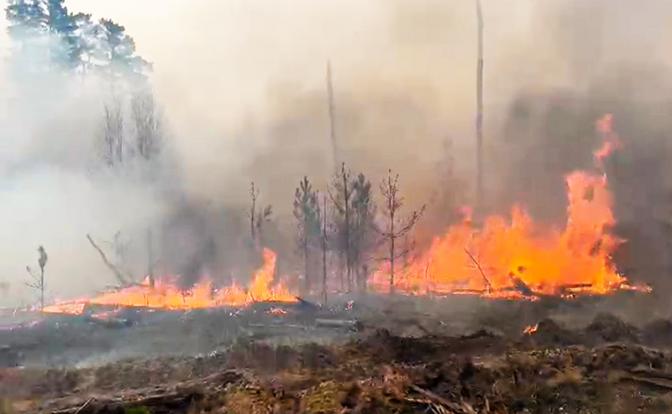 Пожары в Дагестане: Искусственный разум был первым на месте ЧП. И что дальше?