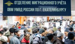 Пока Трамп будет бить нелегалов долларом и конфисковывать их имущество, мы будем разводить руками и закатывать глаза