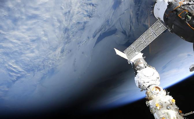 На Марсе высадится сибирский кедр - на зависть Маску