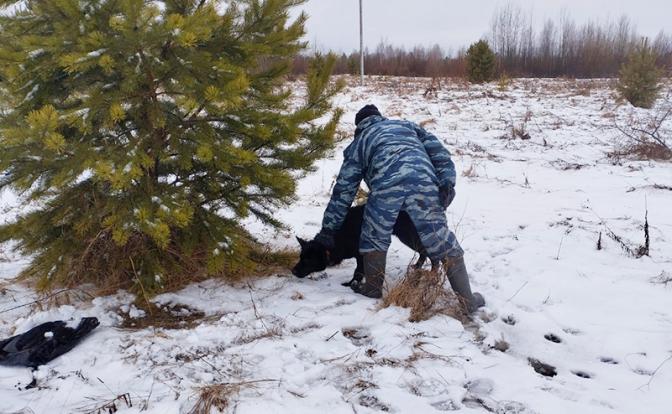На фото: поиски останков с собакой.
