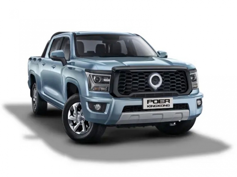 На фото: пикет GWM Poer KINGKONG.