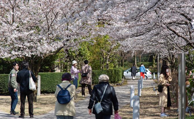 «Пока-пока»: в Японии вынесли Украине суровый приговор