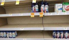 "К черту этого ублюдка!" : 100 дней Трампа Америка встретила своеобразно - яйца нашлись, но туалетная бумага и прокладки исчезли