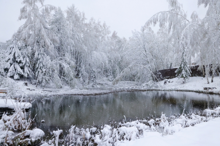 На фото: после снегопада в майские праздники в Московской области.