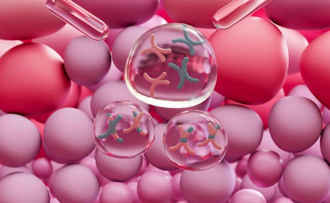 На фото: производство сперматозоидов.