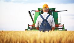 Арифметика фермера: 15 тысяч – зарплата бухгалтеру, себе 80 тысяч. Комбайн заложен в банке, а хлеб еще собрать надо