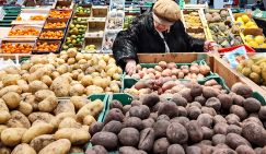 «Это какой-то позор, товарищи!». Цены на картошку в России бьют исторические рекорды