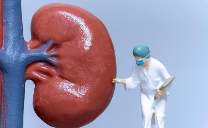 Уролог рассказала, могут ли камни в почках привести к смерти