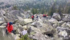 Орали благим матом: 20 туристов в панике носились по лесу, спасаясь от «игривого» медведя