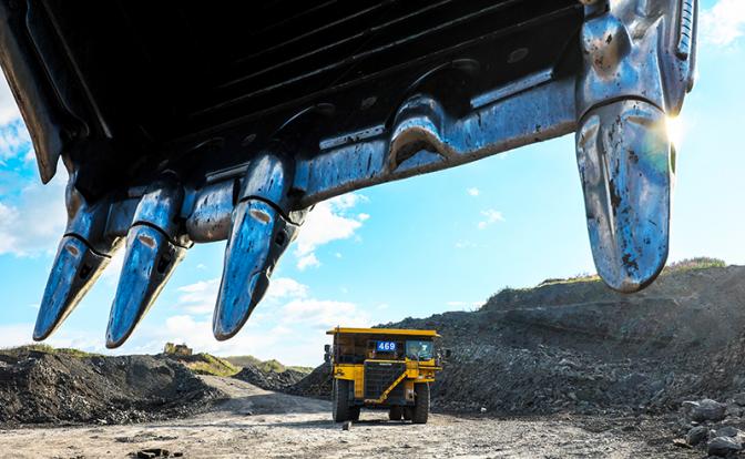 Клад в отвалах: Полынь австрийская и тимьян Маршалла могут указать на место, где золото зарыто