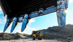 Клад в отвалах: Полынь австрийская и тимьян Маршалла могут указать на место, где золото зарыто