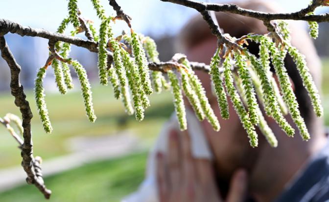Названы продукты, облегчающие симптомы сезонной аллергии