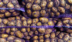 Главный вопрос к министрам: Почему в Пакистане, где мы покупаем картошку, она червонец стоит, а у нас больше ста?