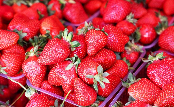 Названа ягода, которая способна улучшить работу всего организма