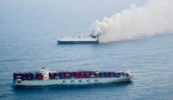 Во имя чего в Тихом океане горят 3000 жертв зеленого безумия