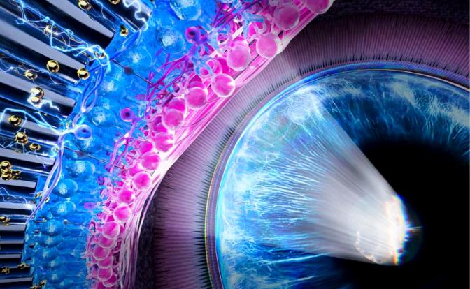 На фото: схема искусственной сетчатки из нанопроволоки.