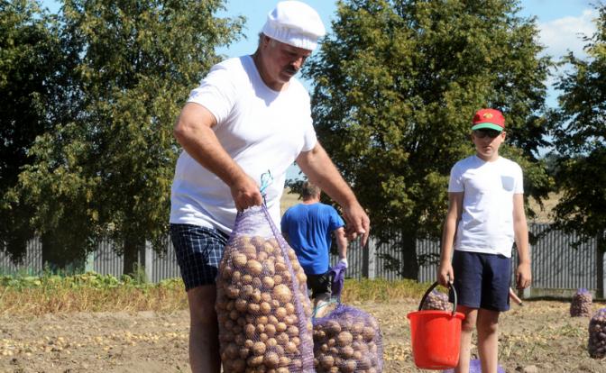 На фото: президент Белоруссии Александр Лукашенко.
