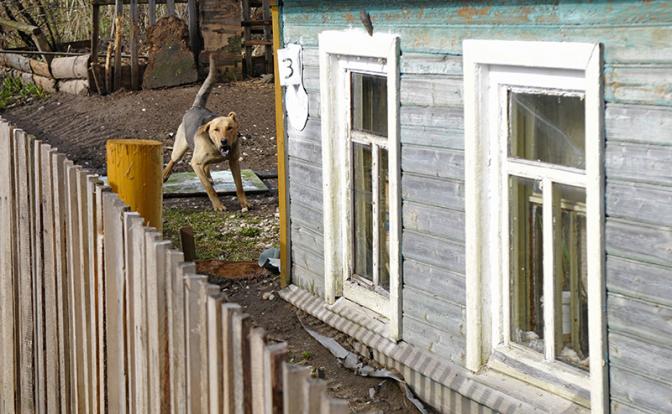 30 тысяч отдай и не греши: Забор на даче отравит жизнь соседей по участкам