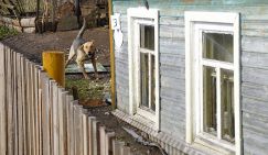 30 тысяч отдай и не греши: Забор на даче отравит жизнь соседей по участкам