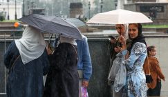 Деньги, связи, криминал: Власть сама допустила вседозволенность диаспор