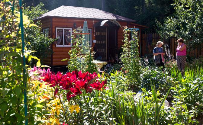 "Срубил вишню – присел на семерик": Дачникам напомнили об очередном суровом запрете