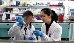 Путь к вечной жизни открыт: в Китае уже знают, как самостоятельно вырастить второе сердце