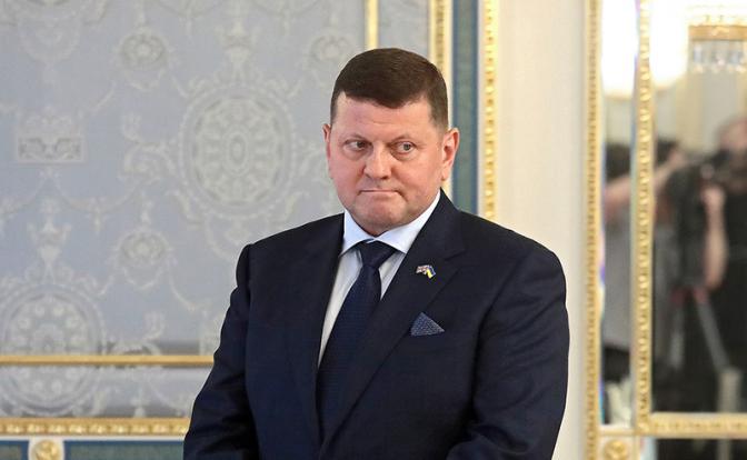 На фото: экс-главнокомандующий ВСУ Валерий Залужный