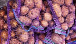 В России по факту сложилась «картофельная мафия», это видят все, кроме Минсельхоза, Минпромторга и ФАС